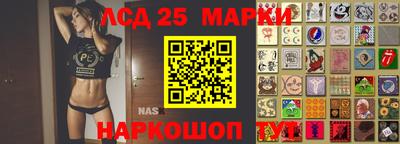 прущие грибы Будённовск