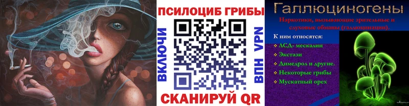 Галлюциногенные грибы Cubensis  Корсаков 