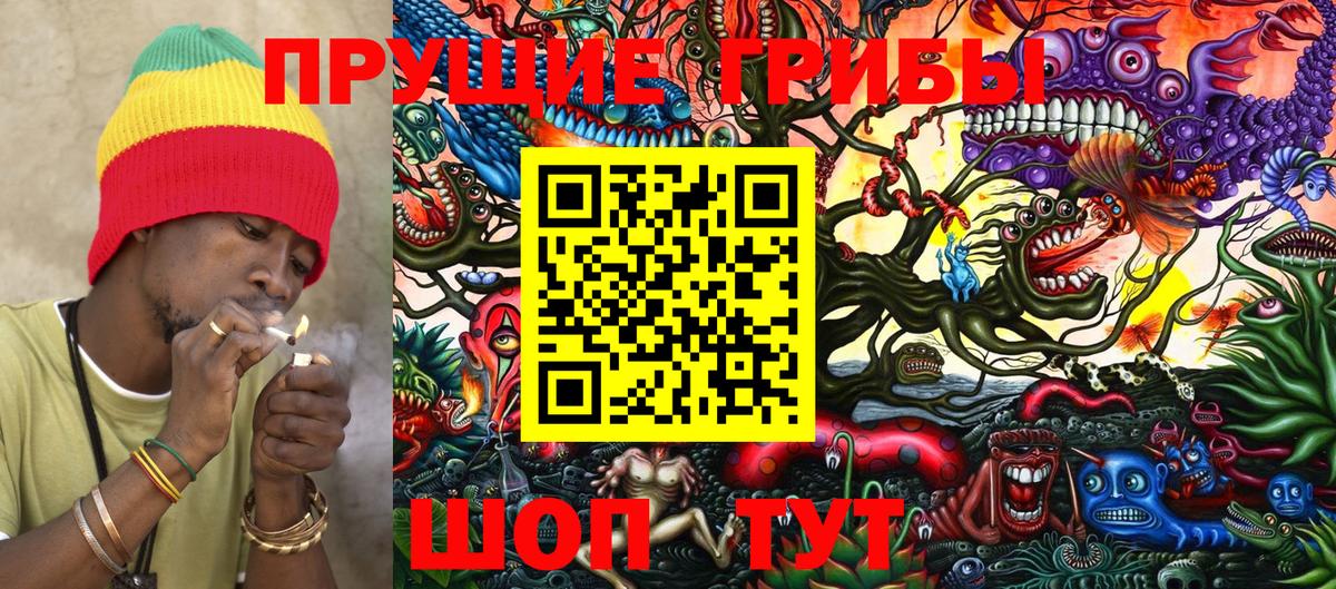 Корсаков  Галлюциногенные грибы мицелий  Вход с VPN 